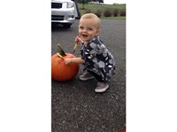 Pumpkin-Painting - - Infant